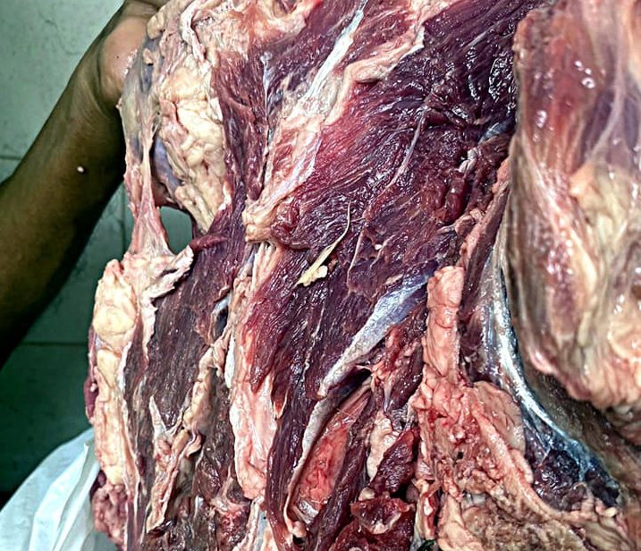 Guaviare: Autoridades de salud decomisaron carne en San José del Guaviare