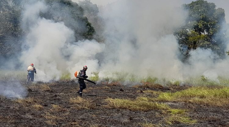 “Incendio forestal fue causado para limpiar lotes”: Bomberos San José del Guaviare
