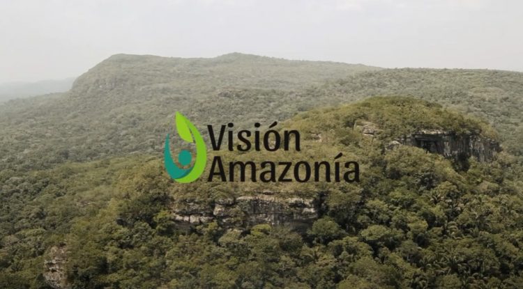 #MaranduaVerde ¿Cuáles son los avances de Visión Amazonía?