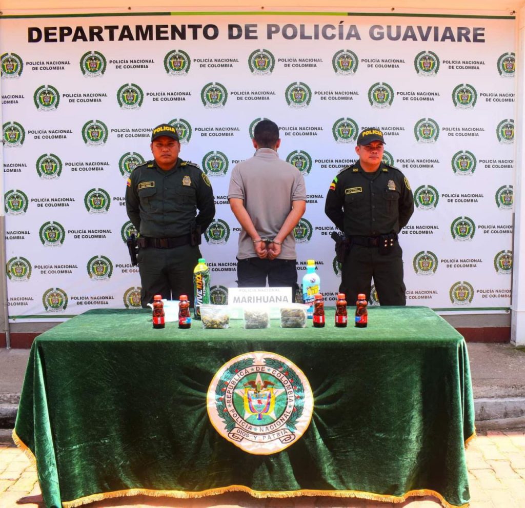 Nueve capturas por diferentes delitos en el Guaviare