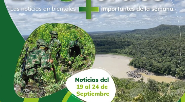 LAS CINCO VERDES DE LA SEMANA