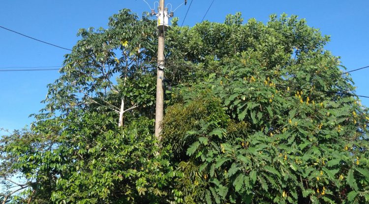 Caída de cable y falta de alumbrado público, problemas que afectan en el barrio San José