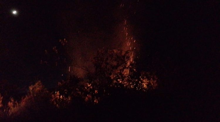 ¿Por qué Incendio forestal no fue atendido por el cuerpo de bomberos de San José Del Guaviare?