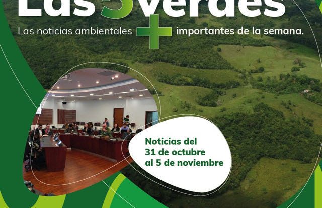 LAS CINCO VERDES DE LA SEMANA