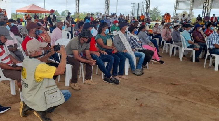 Corte Constitucional no revisará tutela presentada por beneficiarios PNIS en Miraflores