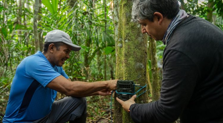 Monitoreo Comunitario en comunidades en el Guaviare que hacen parte del Corredor del Jaguar