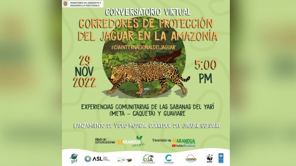 El próximo 29 de noviembre se celebra el Día Internacional del Jaguar