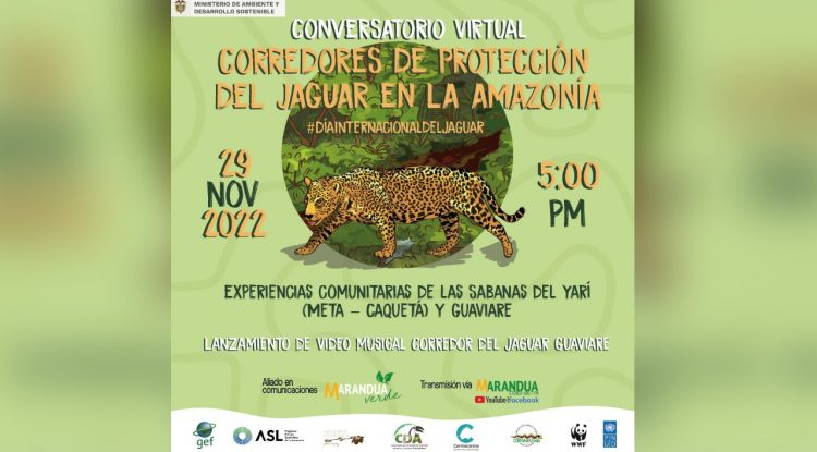 El próximo 29 de noviembre se celebra el Día Internacional del Jaguar