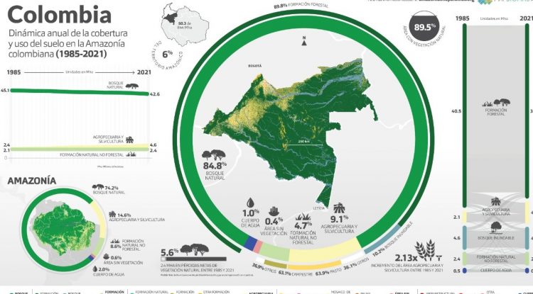 #MaranduaVerde En 37 años la Amazonía ha perdido casi el 10% de su vegetación