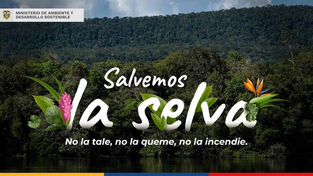 ¿Qué es la campaña “Salvemos la Selva” propuesta por el Minambiente?