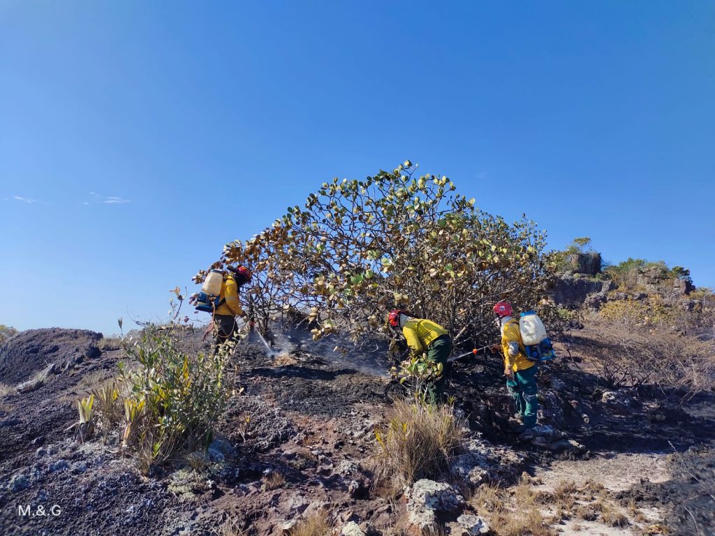 Bomberos atendió dos incendios forestales en San José del Guaviare