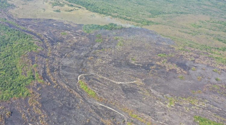 Investigan a responsables de incendio forestal en Serranía La Lindosa