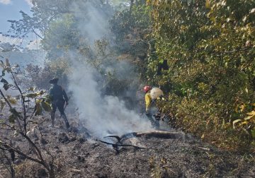 Dos llamados de emergencia de incendios forestales recibió Cuerpo de Bomberos de San José