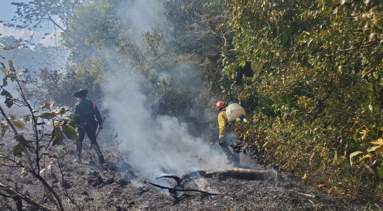 Dos llamados de emergencia de incendios forestales recibió Cuerpo de Bomberos de San José