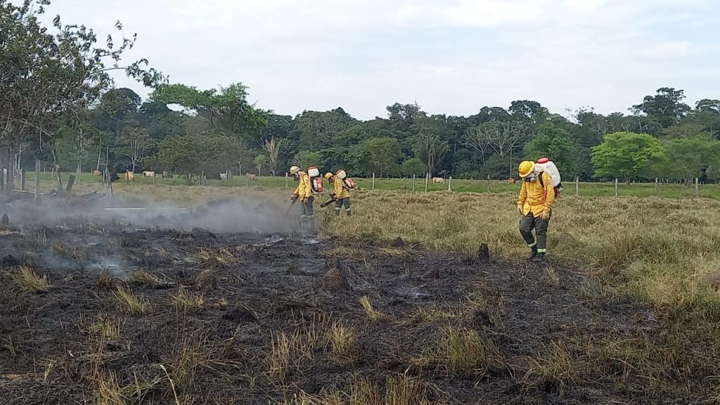 Guaviare: autoridades de Calamar se reúnen para evaluar incendios forestales