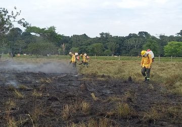 Guaviare: autoridades de Calamar se reúnen para evaluar incendios forestales