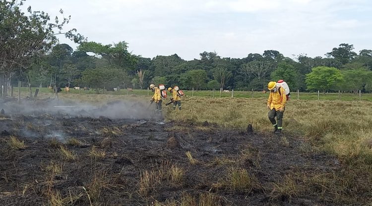 Guaviare: autoridades de Calamar se reúnen para evaluar incendios forestales