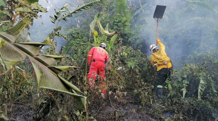 Incendios forestales: 13 reportes se han registrado en Miraflores, Guaviare