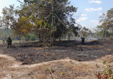 No paran los incendios forestales en el Guaviare