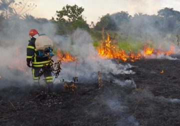 18 incendios forestales en las últimas semanas en San José del Guaviare