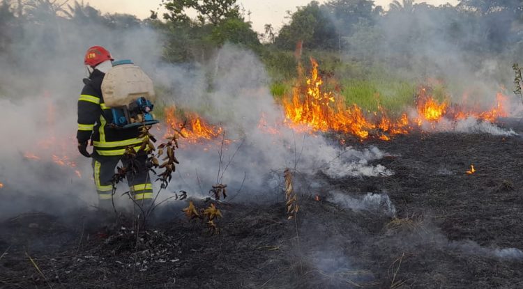 18 incendios forestales en las últimas semanas en San José del Guaviare