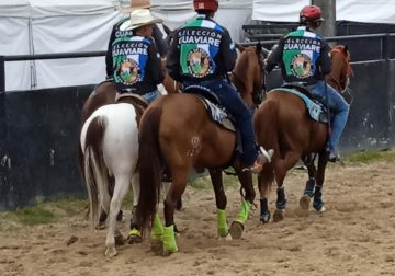 Veinte coleadores del Guaviare estarán en el Nacional de Coleo en Vichada