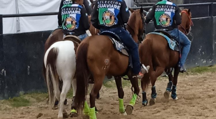 Veinte coleadores del Guaviare estarán en el Nacional de Coleo en Vichada