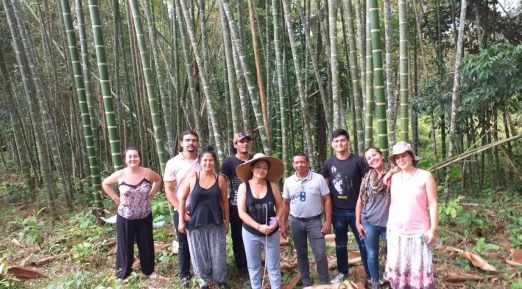 Guaviarenses podrán capacitarse en construcciones Bambú o Guadua
