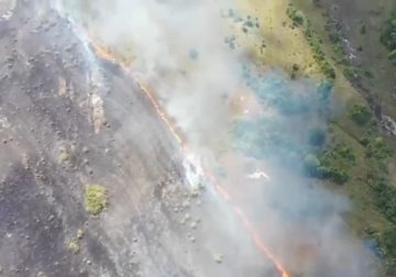 Guaviare: Corporación CDA reporta daños ambientales en 150 hectáreas quemadas