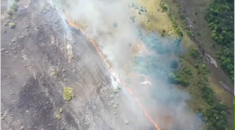 Guaviare: Corporación CDA reporta daños ambientales en 150 hectáreas quemadas