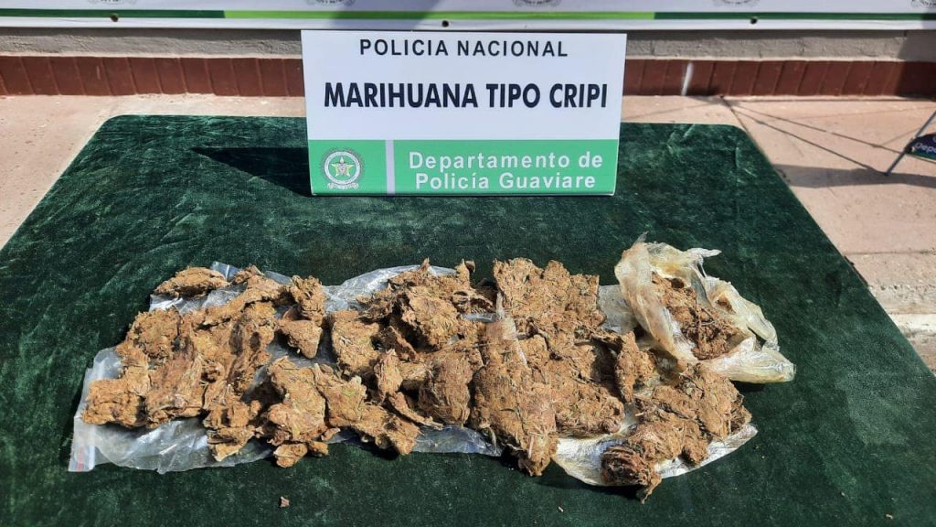 Hallan 266 gramos de marihuana en el sector del Malecón