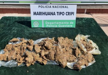 Hallan 266 gramos de marihuana en el sector del Malecón