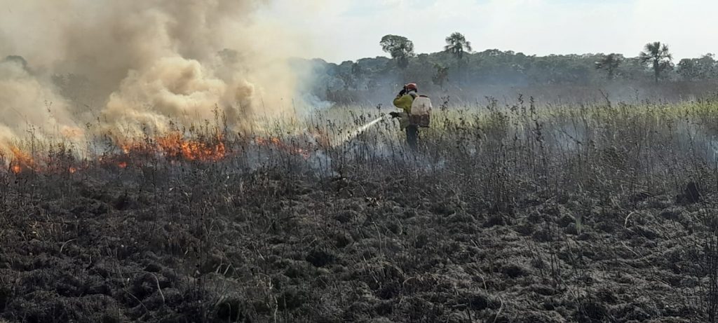 La cifra de accidentes forestales atendidos en San José del Guaviare