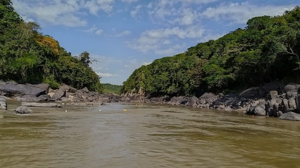 Colegios se unen para el Día Mundial del Medio Ambiente