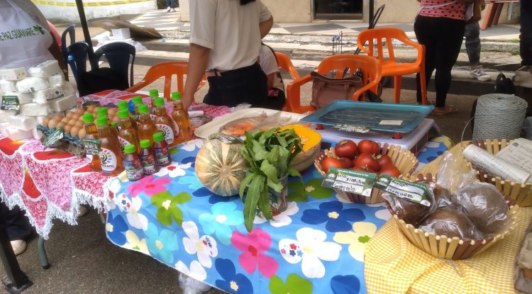 Primer mercado campesino en San José del Guaviare todo un éxito para las organizaciones