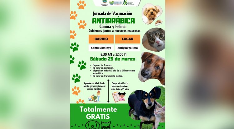 Avanza Jornada de Vacunación antirrábica en caninos y felinos en el Guaviare