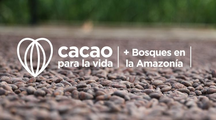 Se cumplió socialización de mapa cacaotero de la Amazonía