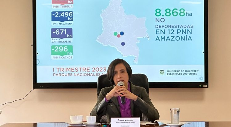En 2022 Deforestación en la Amazonía se redujo un 10% en comparación a 2021