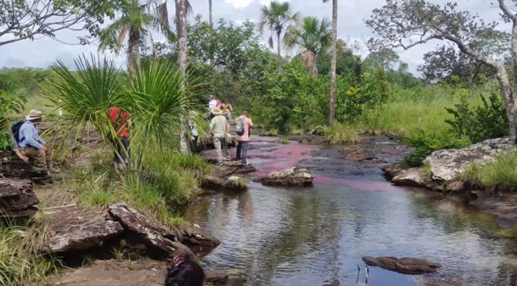 “Guaviare el Tesoro de la Amazonía” apuesta turística de la Gobernación
