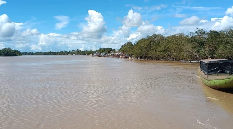 En un estado normal se mantiene nivel del Río Guaviare