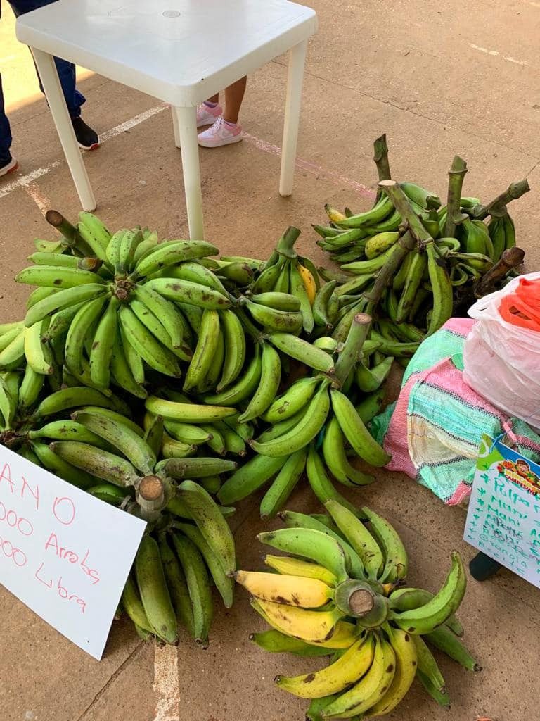 Ediles del Capricho destacan resultados del mercado campesino del pasado 11 de junio