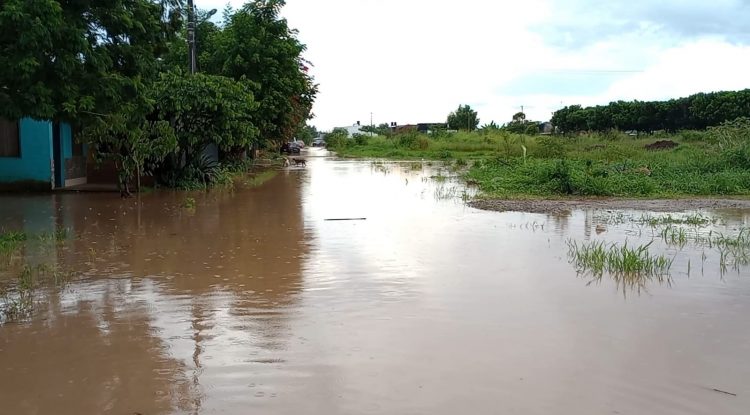 Alcaldía realizará mantenimiento en la carrera 29 para evitar inundaciones