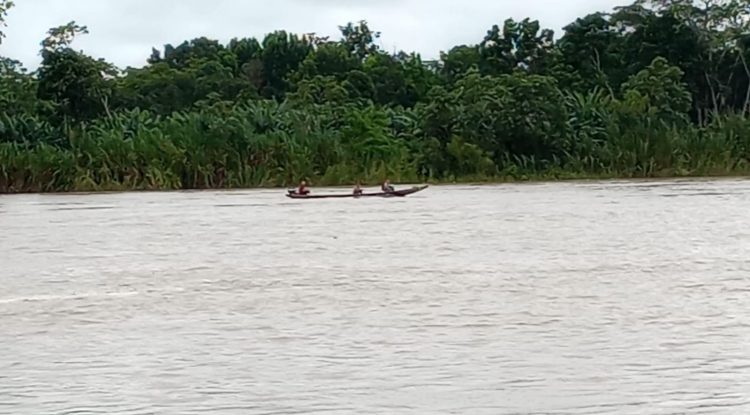 Cultivos inundados por creciente del Río Guaviare