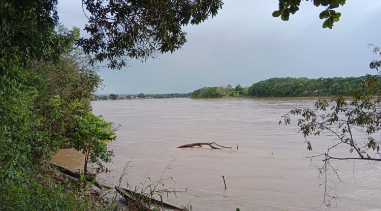 RIO GUAVIARE