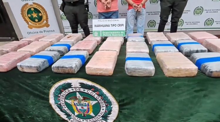 Incautan 25 mil dosis de marihuana en San José del Guaviare