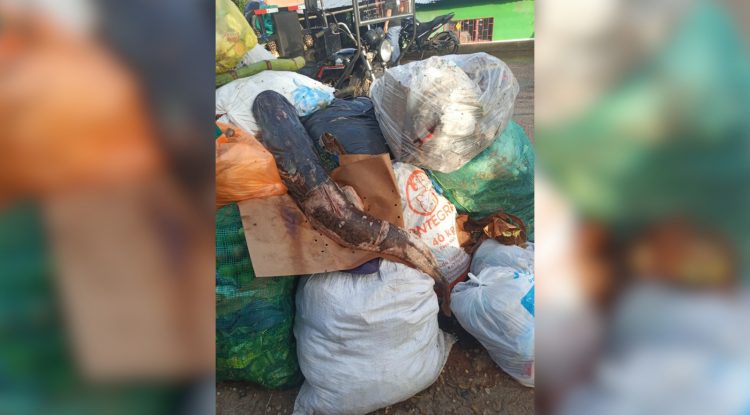 Arrojan pescado en descomposición afuera de la Plaza Campesina