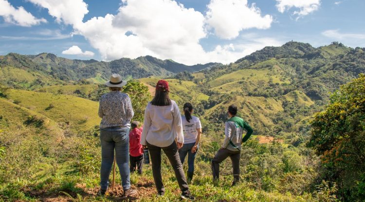 #MaranduaVerde Conozca las historias de conservación de la Amazonía