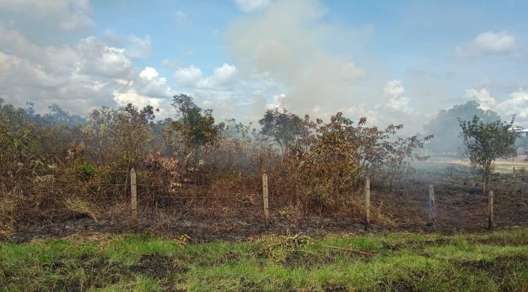 Dos incendios forestales en San José del Guaviare