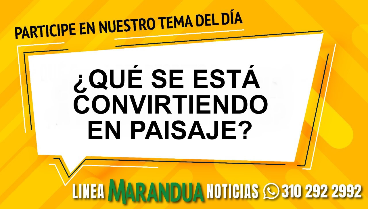 TEMA DEL DÍA: ¿QUÉ SE ESTÁ CONVIRTIENDO EN PAISAJE?