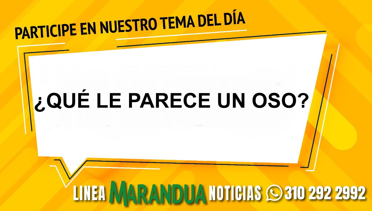 TEMA DEL DÍA: ¿QUÉ LE PARECE UN OSO?